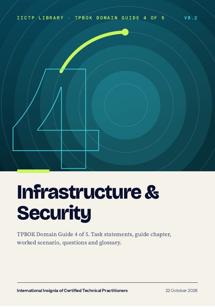 Cover of Domain Guide 4: Infrastructure & Security
